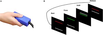 Resting-State Brain Network Dysfunctions Associated With Visuomotor Impairments in Autism Spectrum Disorder